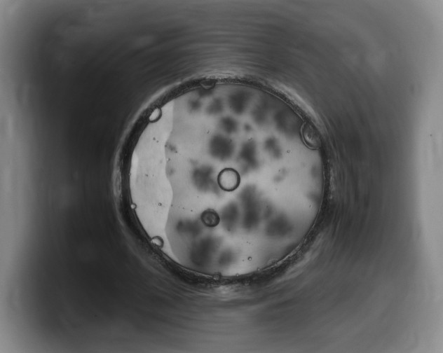 X0000099470584200805090815