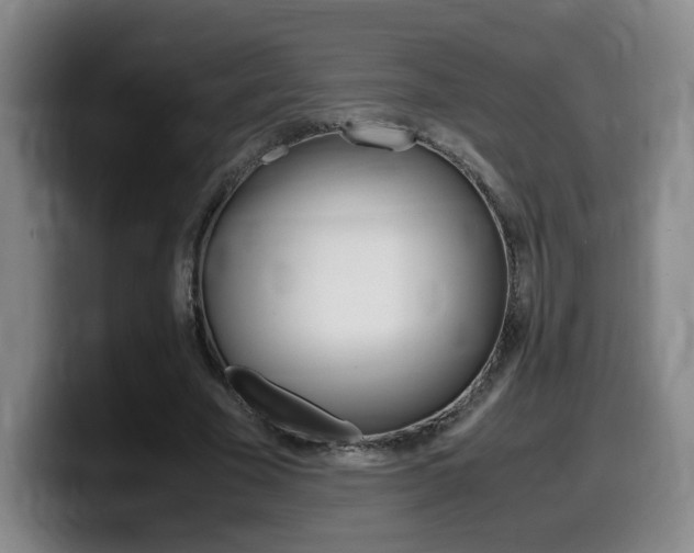 X0000099470585200805090815