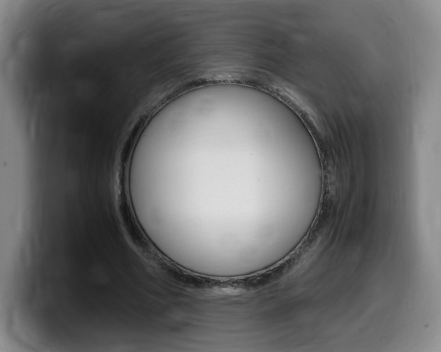 X0000099470586200805090815