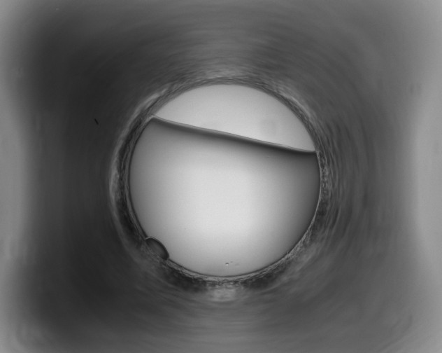 X0000099470587200805090815
