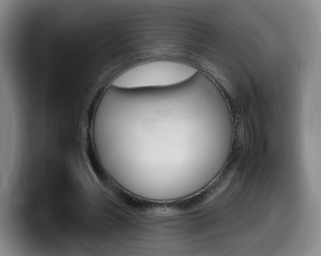 X0000099470590200805090815