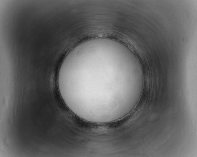 X0000099470594200805090815