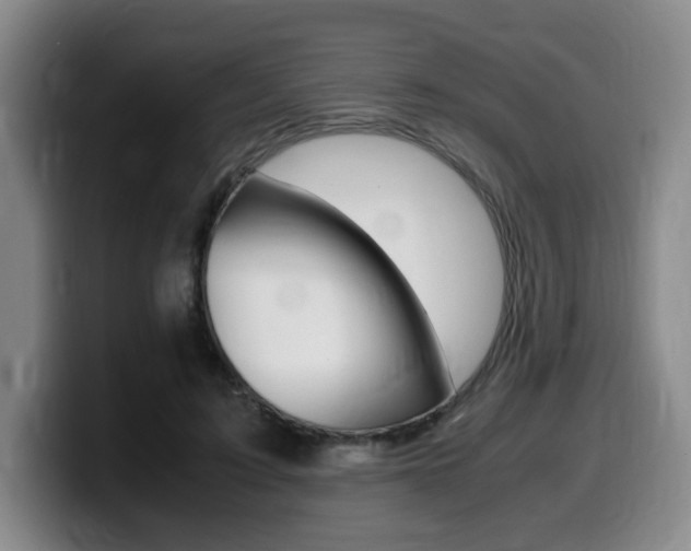 X0000099470595200805090815