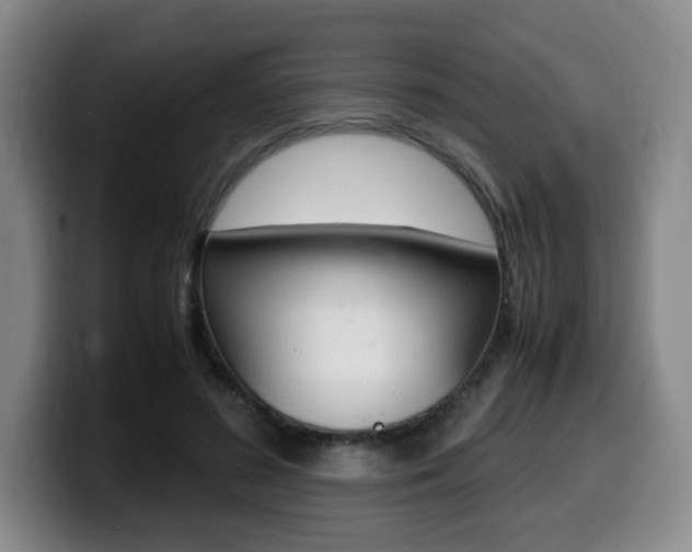 X0000099470596200805090815
