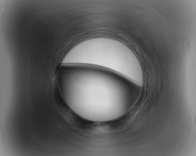 X0000099470601200805090815