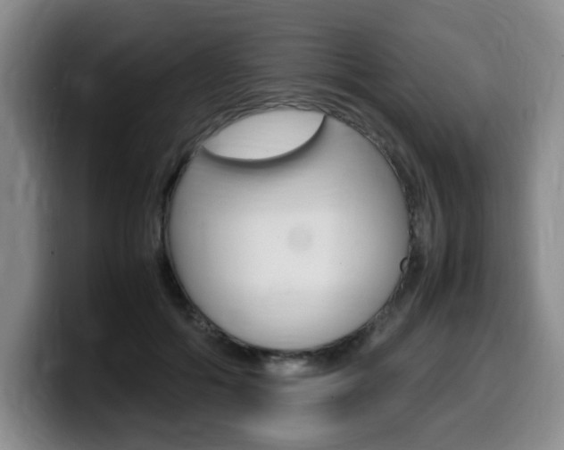 X0000099470602200805090815