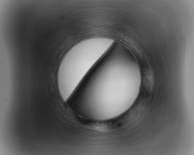 X0000099470604200805090815