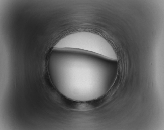 X0000099470605200805090815