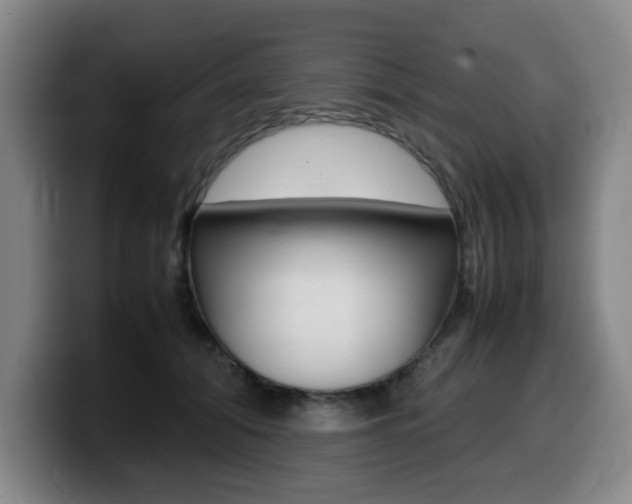 X0000099470608200805090815