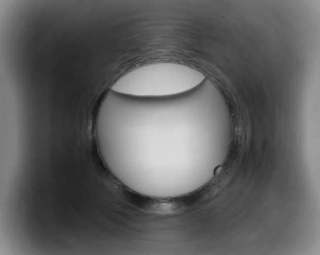 X0000099470610200805090815
