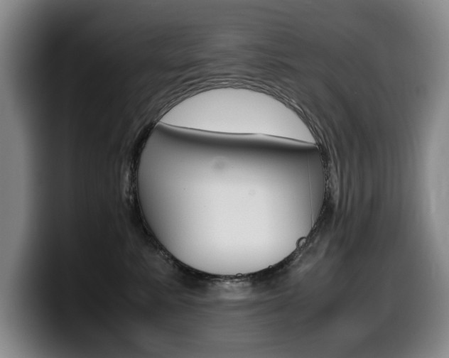 X0000099470619200805090814