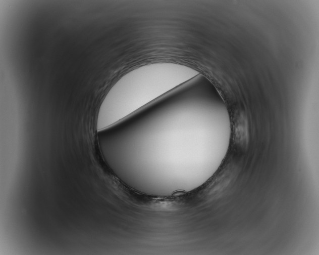 X0000099470620200805090814