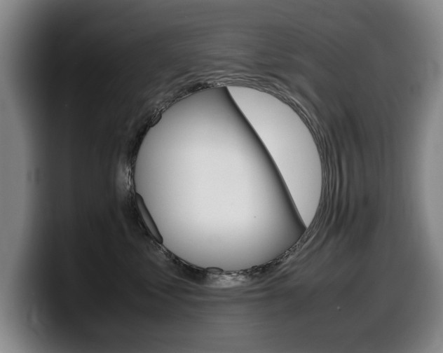 X0000099470621200805090814