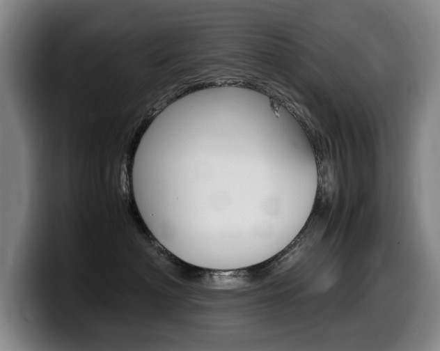 X0000099470622200805090814