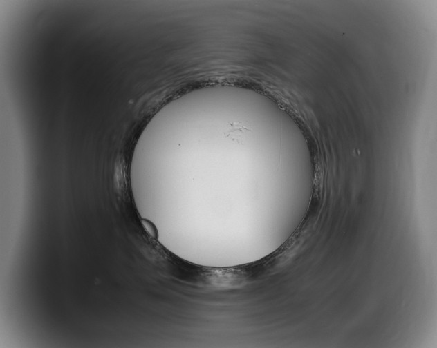 X0000099470623200805090814