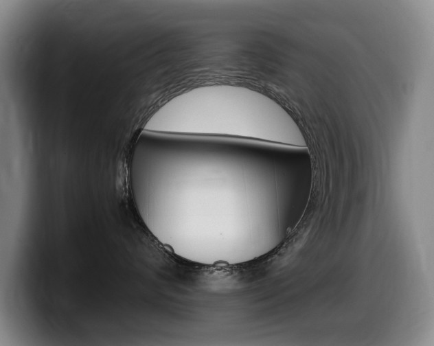 X0000099470624200805090814