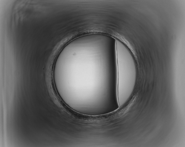 X0000099470625200805090814