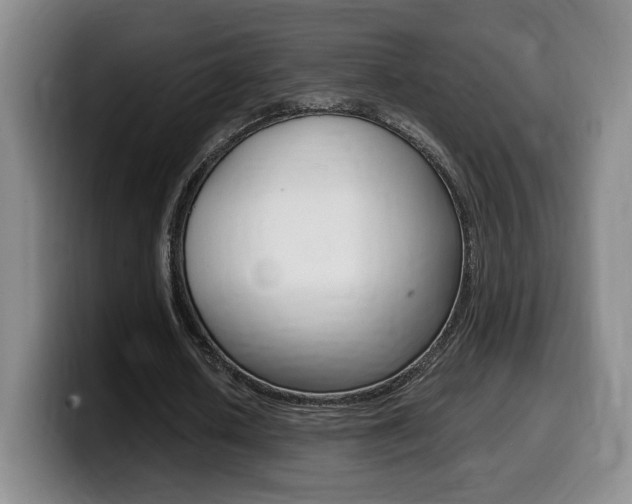 X0000099470626200805090814
