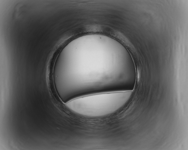 X0000099470627200805090814