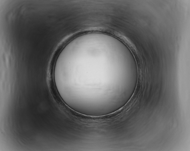 X0000099470628200805090814