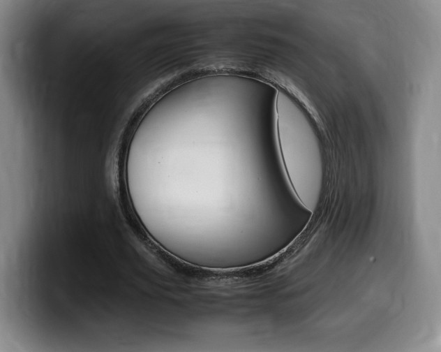X0000099470629200805090814