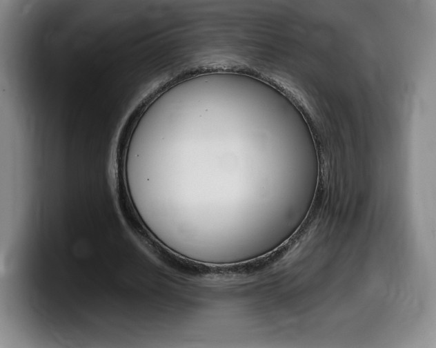 X0000099470630200805090814