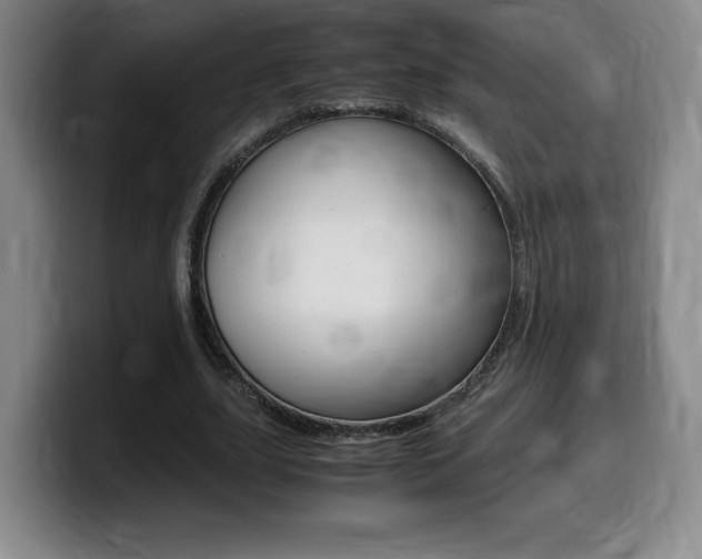 X0000099470631200805090814