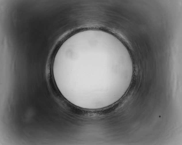 X0000099470632200805090814