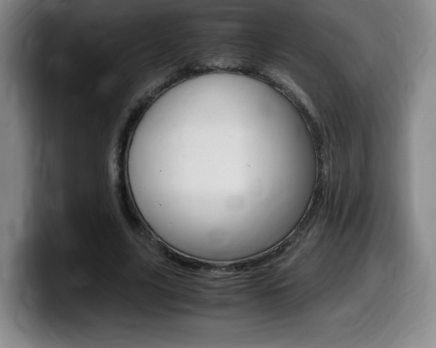 X0000099470635200805090814