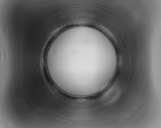 X0000099470636200805090814