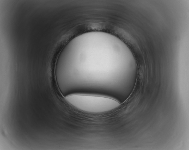 X0000099470639200805090814