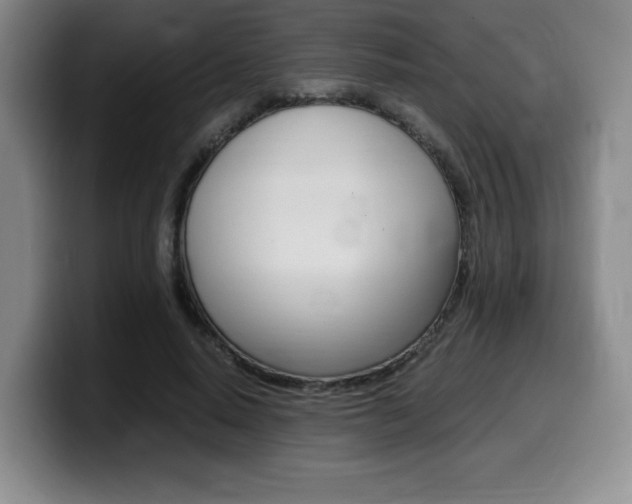 X0000099470640200805090814