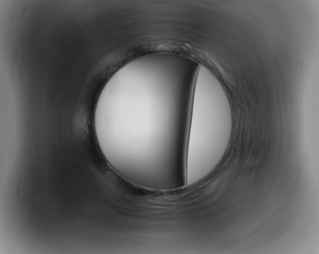 X0000099470643200805090814