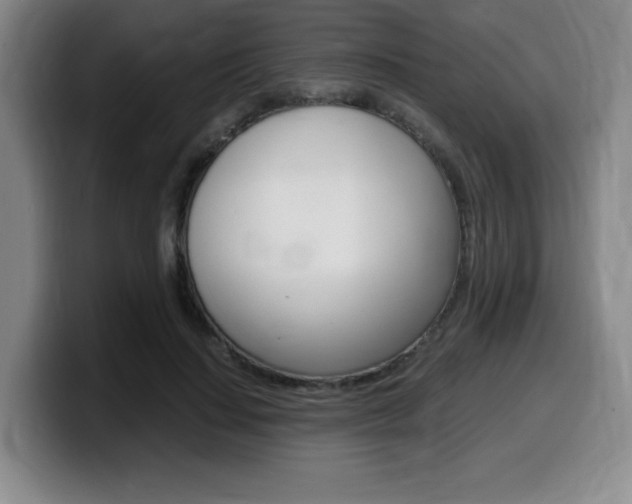 X0000099470644200805090814