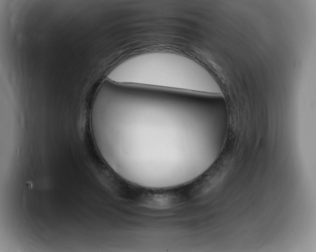 X0000099470645200805090814