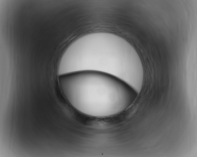X0000099470648200805090814