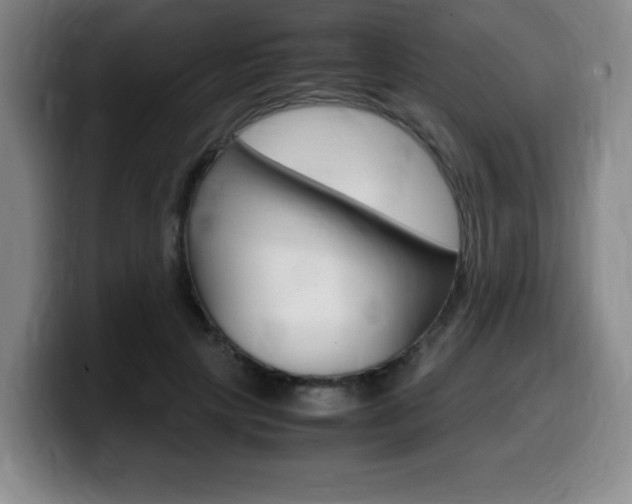 X0000099470649200805090814