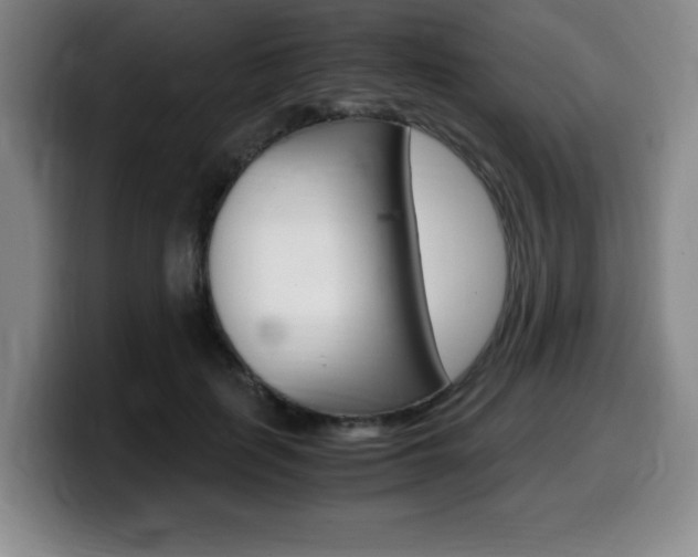 X0000099470651200805090814