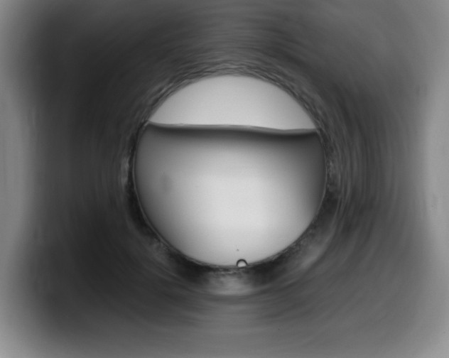 X0000099470652200805090814