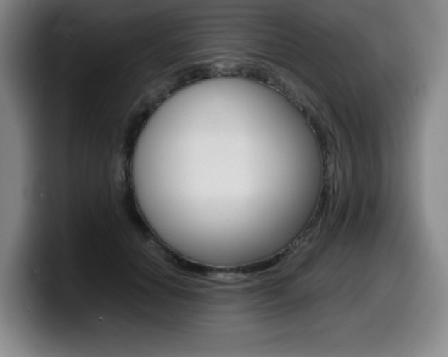 X0000099470654200805090814