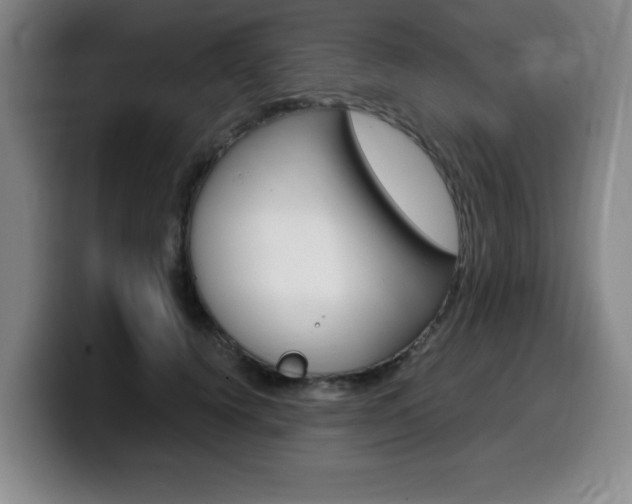 X0000099470656200805090814
