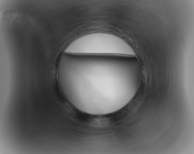 X0000099470657200805090814