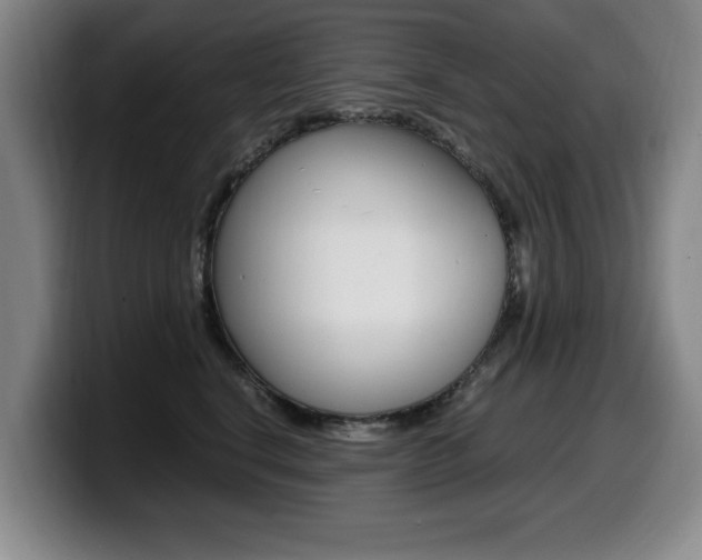 X0000099470664200805090814