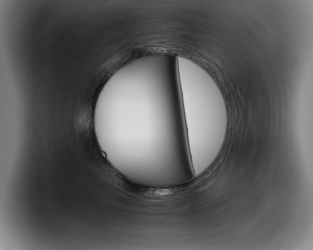 X0000099470665200805090814