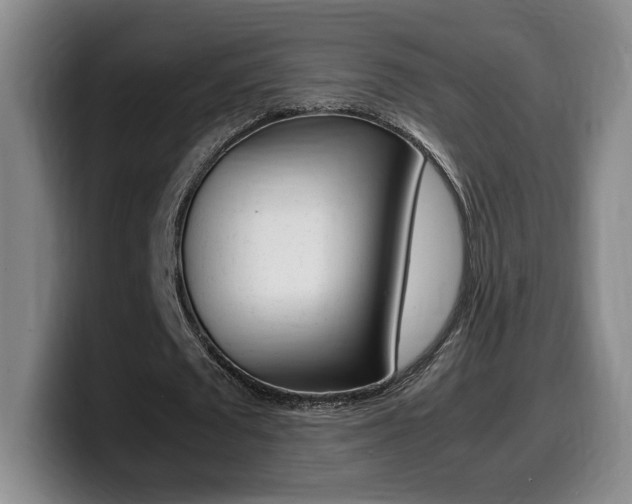 X0000099470673200805090814