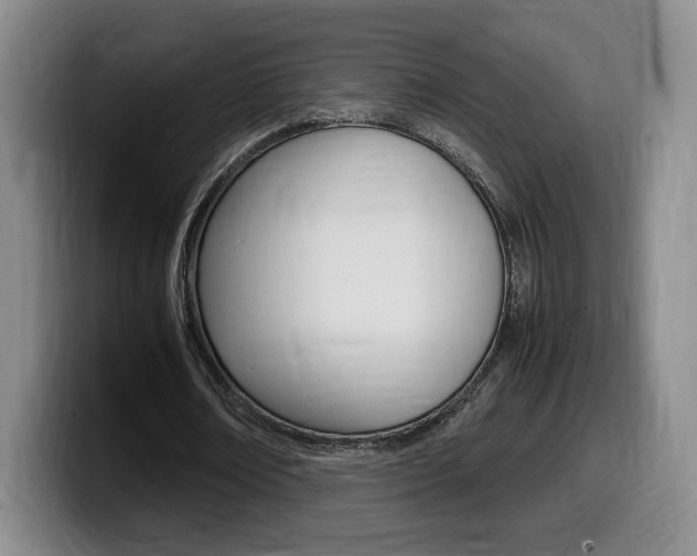X0000099470674200805090814