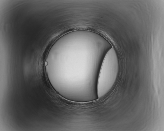 X0000099470675200805090814