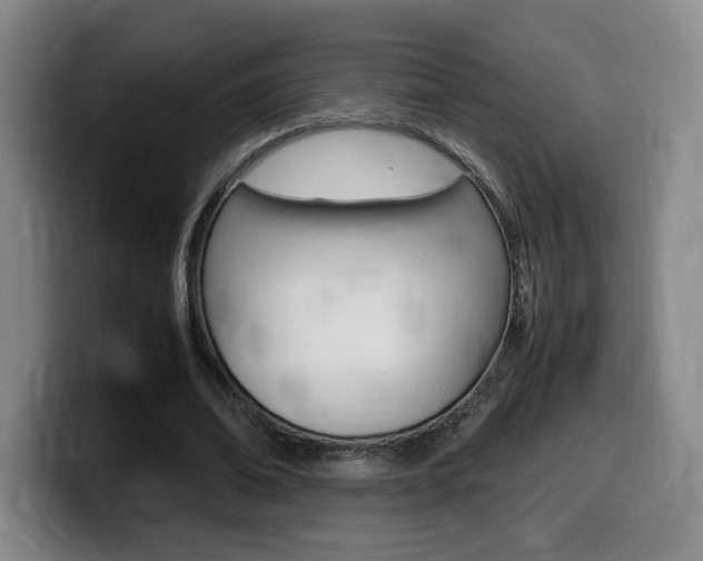 X0000099470678200805090814