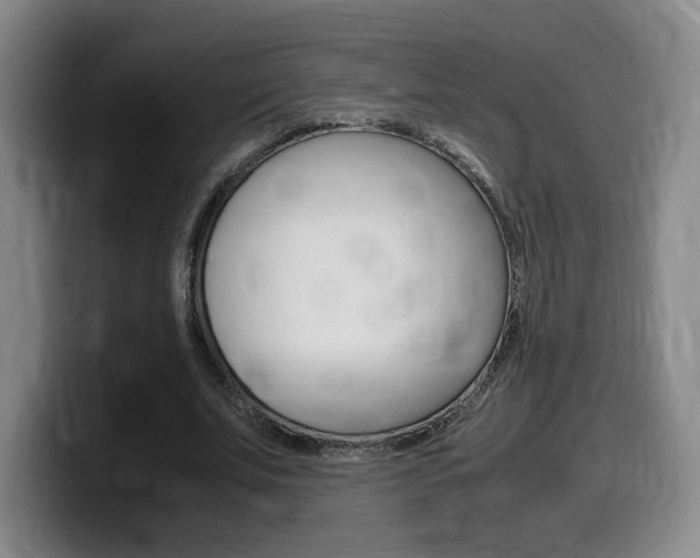 X0000099470679200805090814