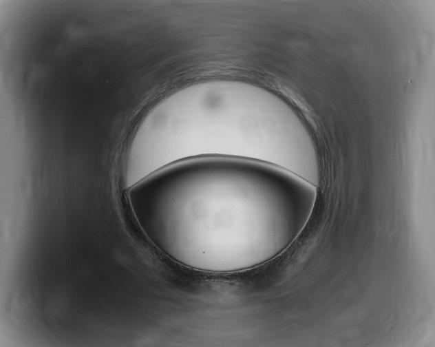 X0000099470681200805090814